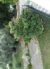 20170524_132020.jpg